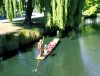 Punting on the Avon

Trip: New Zealand
Entry: The Kaikoura Coast and Christc
Date Taken: 09 Mar/03
Country: New Zealand
Viewed: 1866 times
Rated: 10.0/10 by 2 people